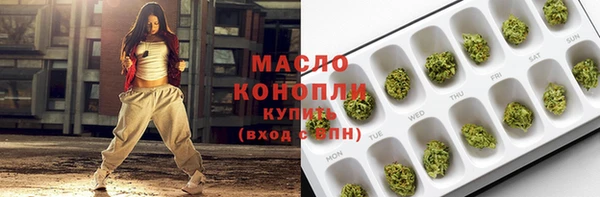 индика Анжеро-Судженск