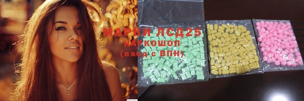 индика Анжеро-Судженск
