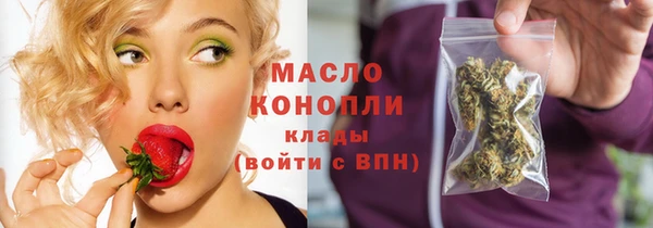 индика Анжеро-Судженск