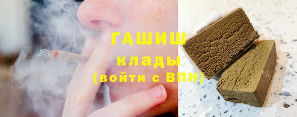 индика Анжеро-Судженск