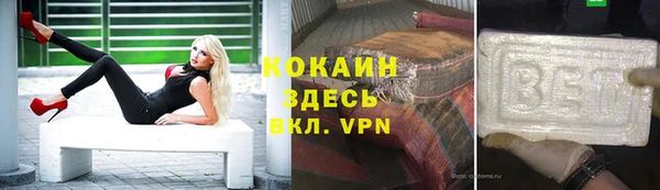индика Анжеро-Судженск