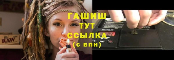 стаф Медногорск