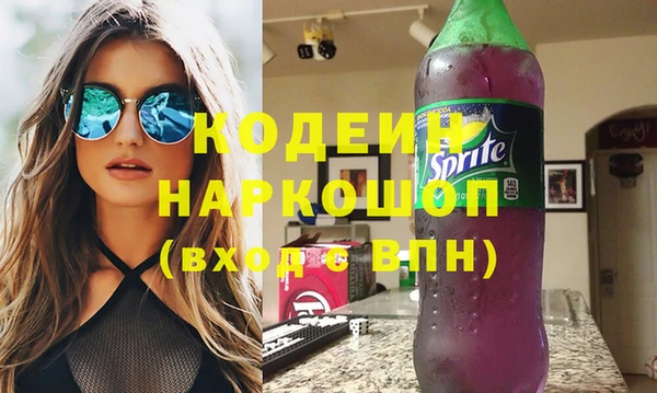 индика Анжеро-Судженск