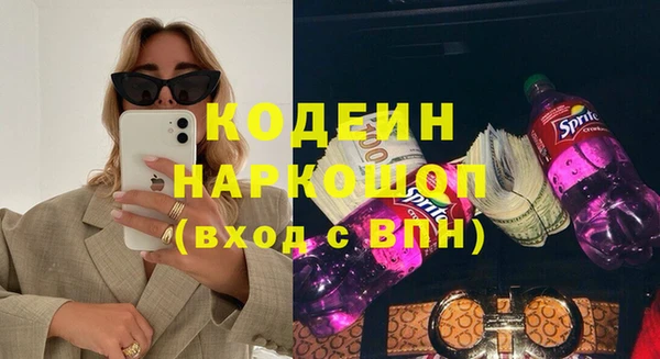 индика Анжеро-Судженск