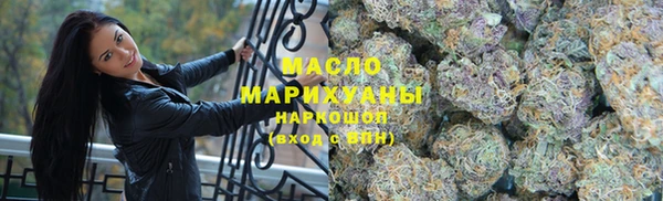индика Анжеро-Судженск