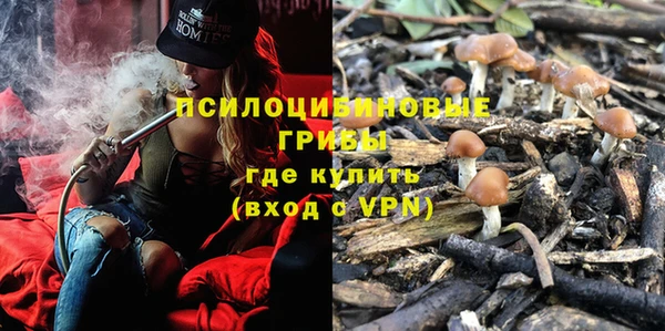 индика Анжеро-Судженск