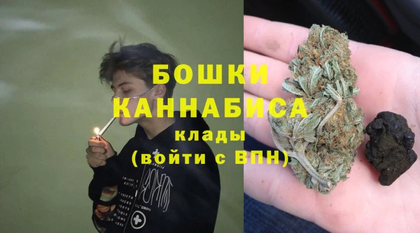 индика Анжеро-Судженск